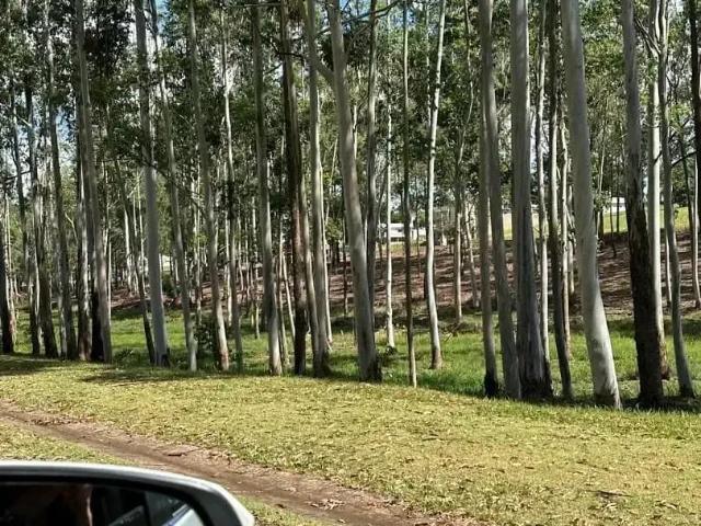 Terreno em Condomínio para Venda em São Paulo/SP Jardim Ipê