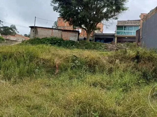 Terreno em Condomínio para Venda em São Paulo/SP Jardim São Judas Tadeu