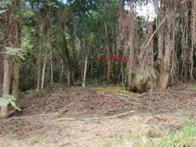 Terreno em Condomínio para Venda em São Paulo/SP Jardim Peri