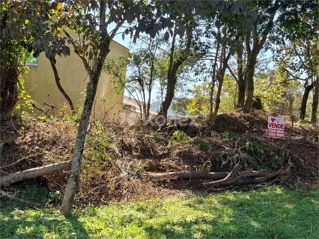 Terreno em Condomínio para Venda em São Paulo/SP Jardim Peri
