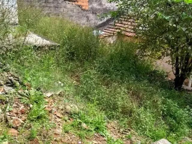 Terreno em Condomínio para Venda em São Paulo/SP Jardim Peri