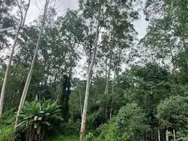 Terreno em Condomínio para Venda em São Paulo/SP Jardim Peri