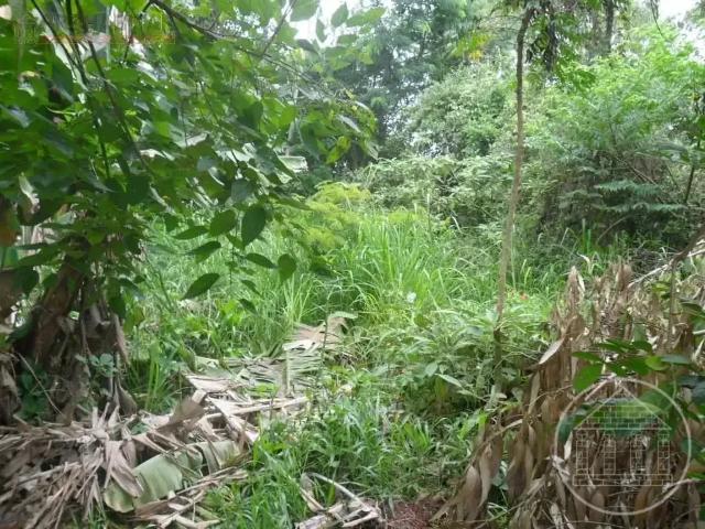 Terreno em Condomínio para Venda em São Paulo/SP Parque do Terceiro Lago