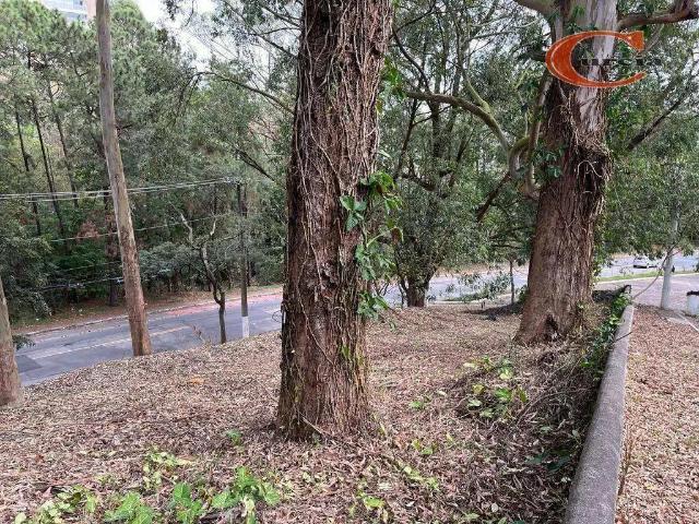 Terreno em Condomínio para Venda em São Paulo/SP Parque dos Príncipes
