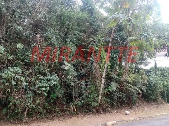 Terreno em Condomínio para Venda em São Paulo/SP Serra da Cantareira