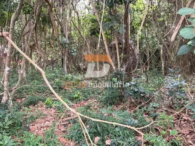 Terreno em Condomínio para Venda em São Paulo/SP Sete Praias