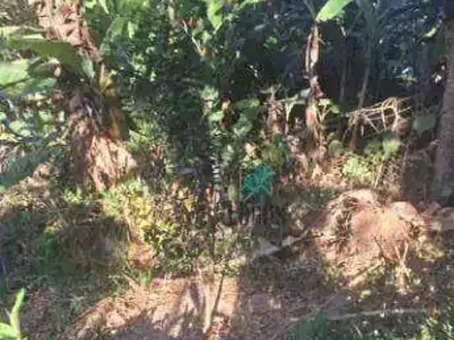 Terreno em Condomínio para Venda em São Paulo/SP Sete Praias