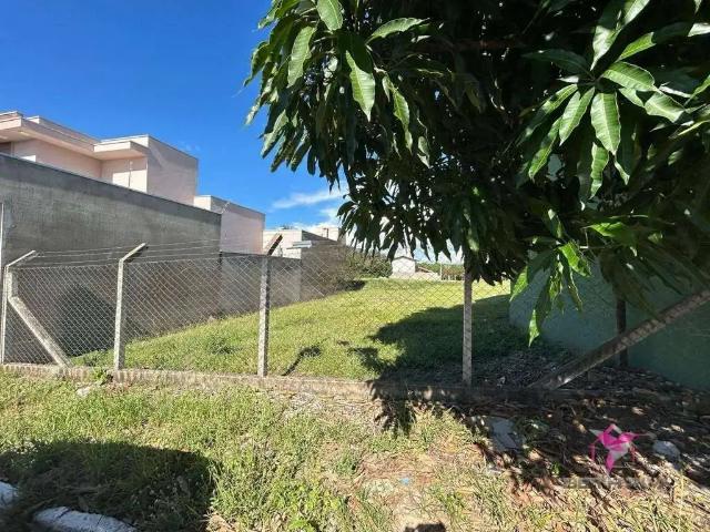 Terreno em Condomínio para Venda em Santa Cruz da Conceição/SP Centro
