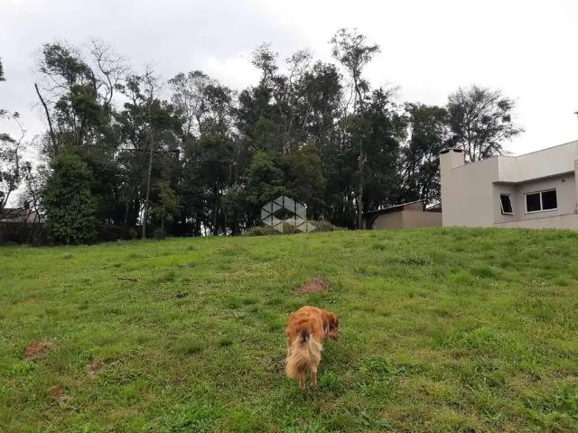 Terreno em Condomínio para Venda em Santa Cruz do Sul/RS Country