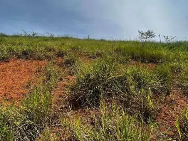 Terreno em Condomínio para Venda em Santa Isabel/SP Parque Santa Teresa