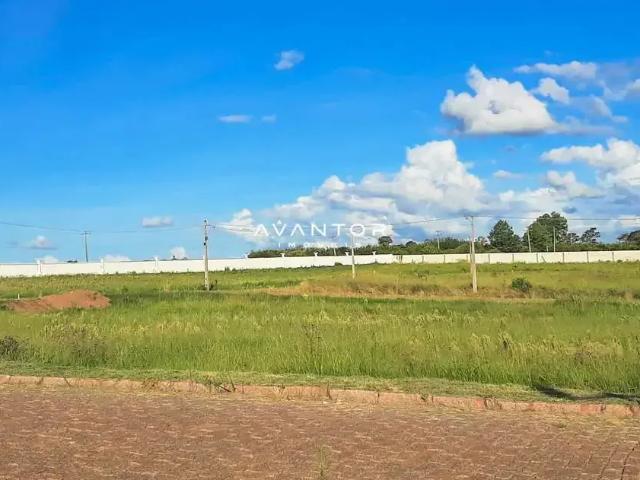 Terreno em Condomínio para Venda em Santa Maria/RS Camobi