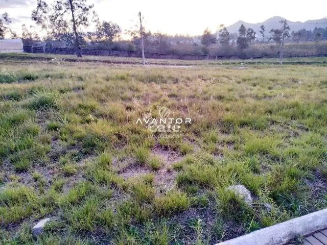 Terreno em Condomínio para Venda em Santa Maria/RS Camobi