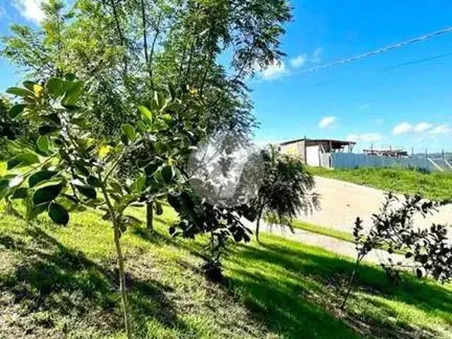 Terreno em Condomínio para Venda em Santa Maria/RS Tomazetti