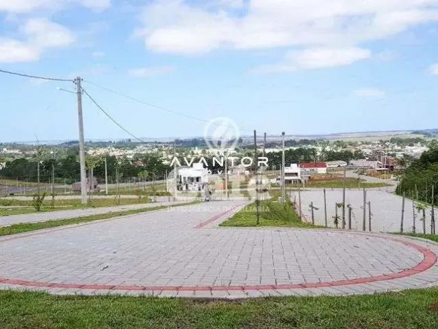 Terreno em Condomínio para Venda em Santa Maria/RS Tomazetti
