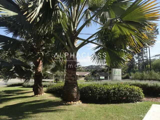 Terreno em Condomínio para Venda em Santana de Parnaíba/SP Alphaville