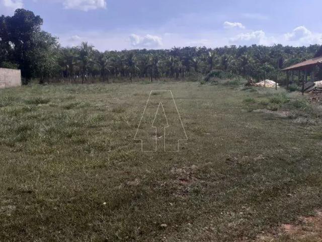 Terreno em Condomínio para Venda em Santo Antônio do Aracanguá/SP Macaúba