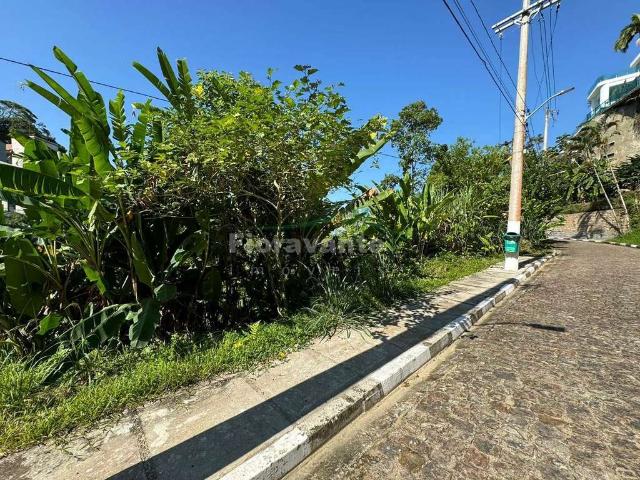 Terreno em Condomínio para Venda em Santos/SP Morro Santa Terezinha