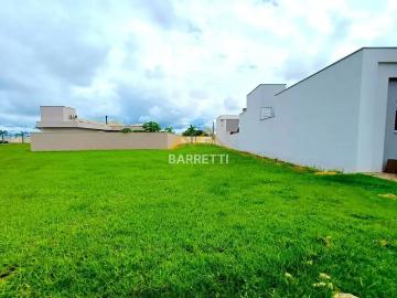 Terreno em Condomínio para Venda em Saltinho/SP Mato Alto