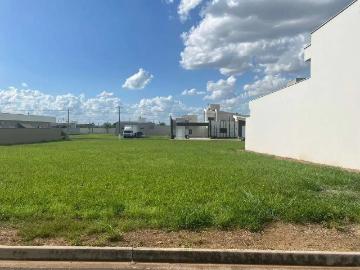 Terreno em Condomínio para Venda em Saltinho/SP Mato Alto