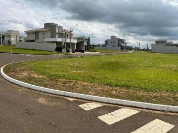 Terreno em Condomínio para Venda em Saltinho/SP Mato Alto
