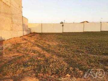 Terreno em Condomínio para Venda em Saltinho/SP Jardim Torrezan