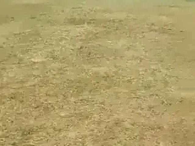 Terreno em Condomínio para Venda em Salvador/BA Novo Horizonte
