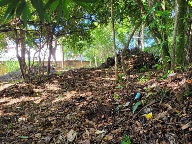 Terreno em Condomínio para Venda em Salvador/BA Patamares