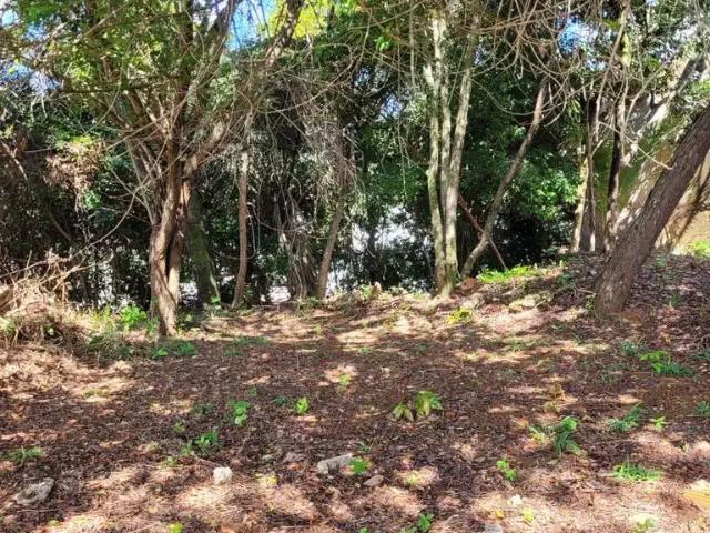Terreno em Condomínio para Venda em Salvador/BA Patamares