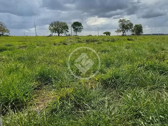Terreno em Condomínio para Venda em Senador Canedo/GO Vila Romana Condominio Horizontal