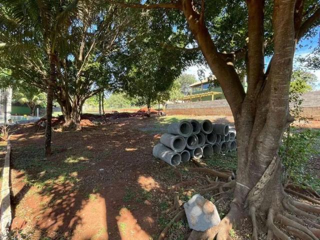 Terreno em Condomínio para Venda em Sertaneja/PR Paranagi