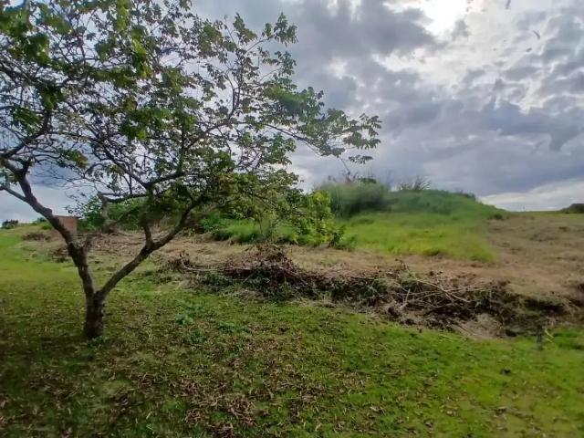 Terreno em Condomínio para Venda em Sertanópolis/PR Ecovillas do Lago