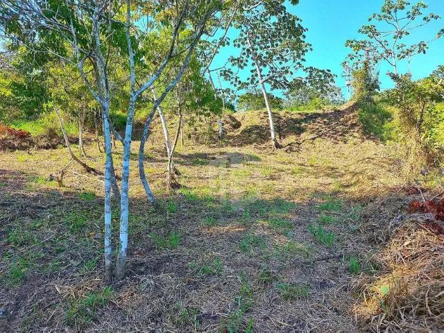 Terreno em Condomínio para Venda em Simões Filho/BA Condomínio Fazenda Real