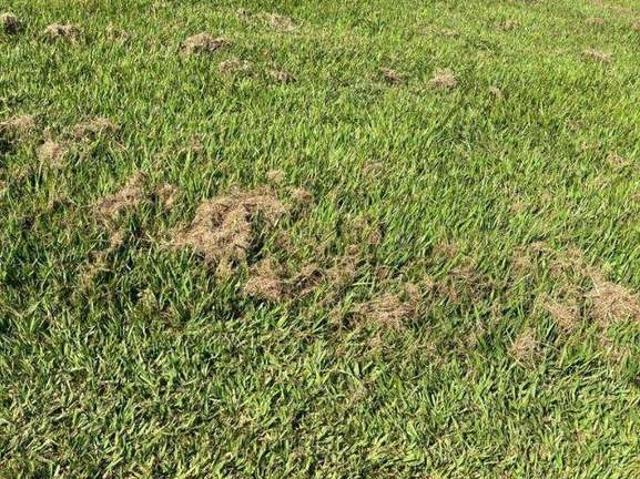 Terreno em Condomínio para Venda em Sorocaba/SP Condomínio Vale do Lago