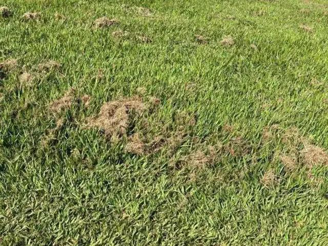 Terreno em Condomínio para Venda em Sorocaba/SP Condomínio Vale do Lago