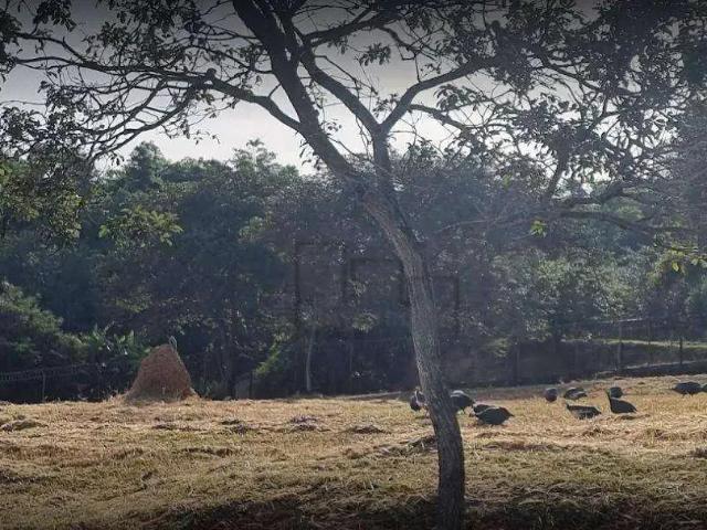 Terreno em Condomínio para Venda em Sorocaba/SP Jardim Novo Mundo