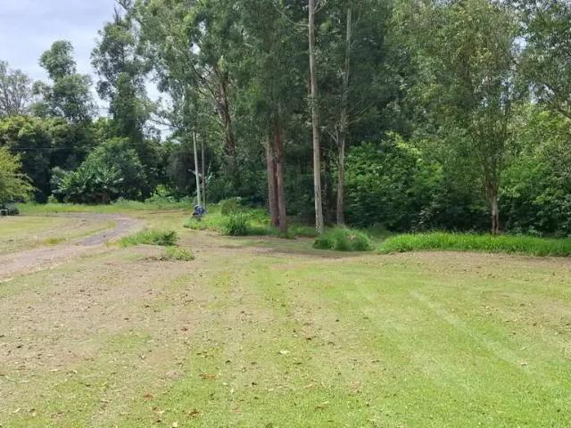 Terreno em Condomínio para Venda em Sumaré/SP Estância Árvore da Vida