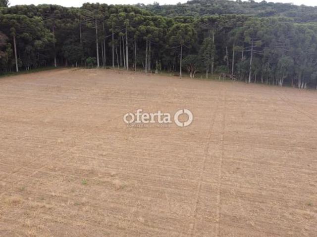 Terreno em Contenda Permissível para industria
