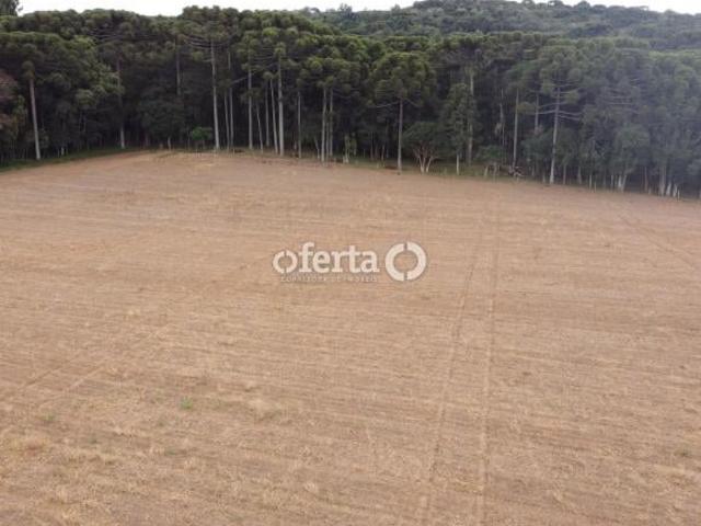 Terreno em Contenda Permissível para industria