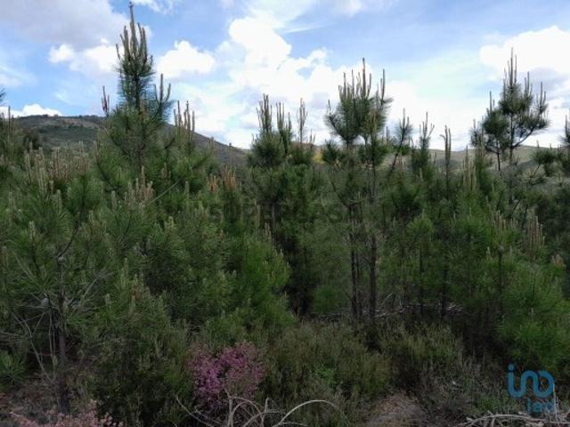Terreno em Cortes do Meio