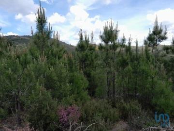 Terreno em Cortes do Meio