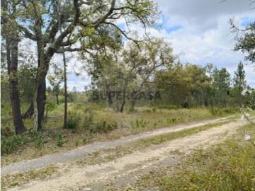 Terreno em Cortiçadas de Lavre
