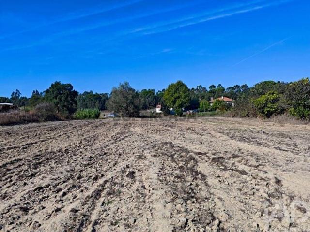 Terreno em Coruche, Fajarda e Erra