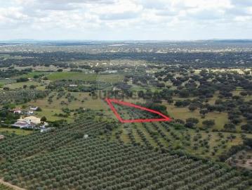 Terreno em Corval