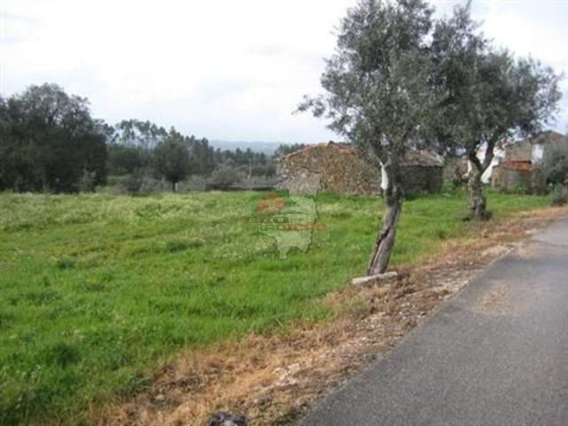 Terreno em Covão do Romeira