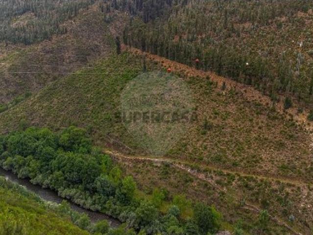 Terreno em Covelo de Paivó e Janarde