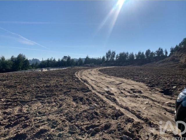 Terreno em Cristelos, Boim e Ordem