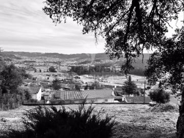Terreno em Cruz