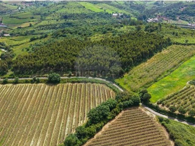 Terreno em Dois Portos