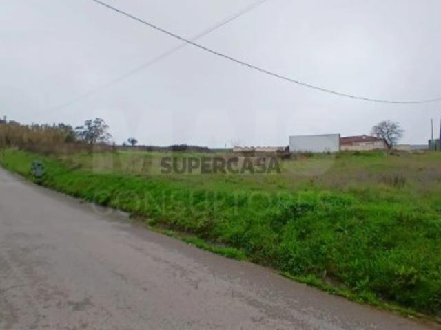 Terreno em Évora de Alcobaça