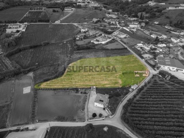 Terreno em Évora de Alcobaça